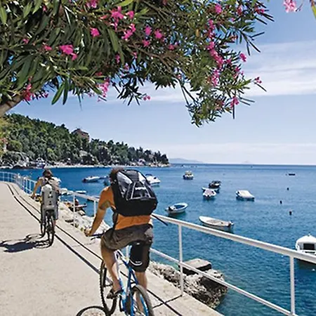 Triton Villa Labin (Istria)
